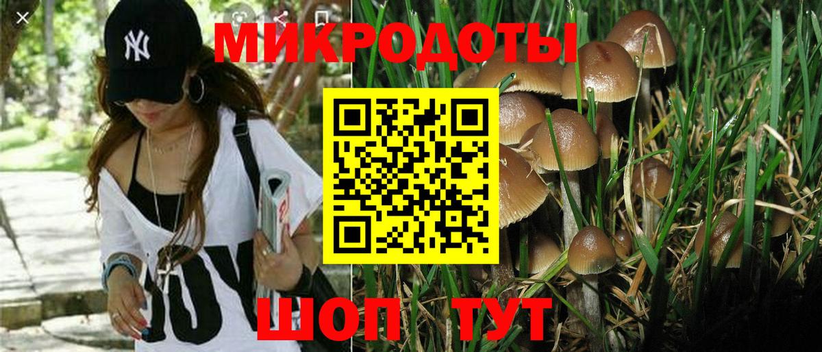 Псилоцибиновые грибы Cubensis Сертолово