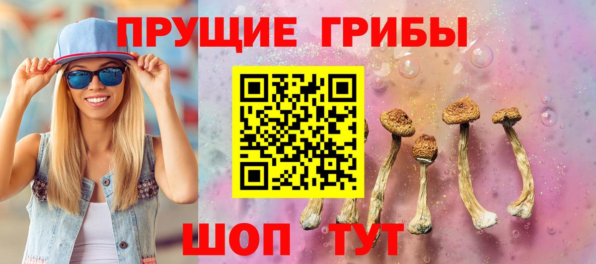 Сертолово  Галлюциногенные грибы прущие грибы  Псилоцибиновые грибы Magic Shrooms  Вход с VPN 